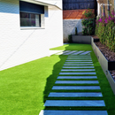 Semillas de césped Petalis