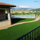 Semillas de césped Petalis