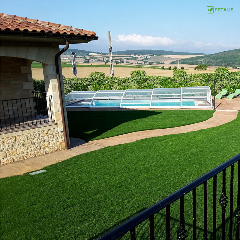 Semillas de césped Petalis