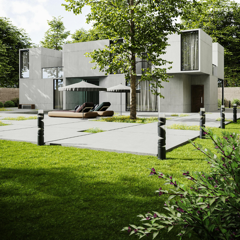 Semillas de césped Petalis