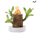 Planta de la suerte Jinga